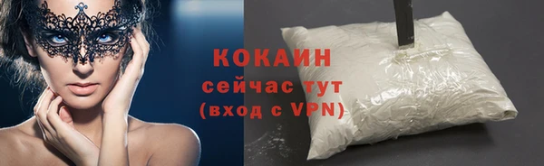 соль ск Алзамай