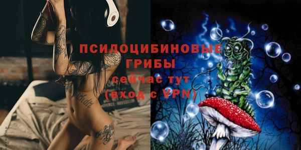 apvp Алексеевка