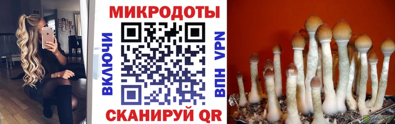 Галлюциногенные грибы мицелий kraken ONION Лихославль закладка